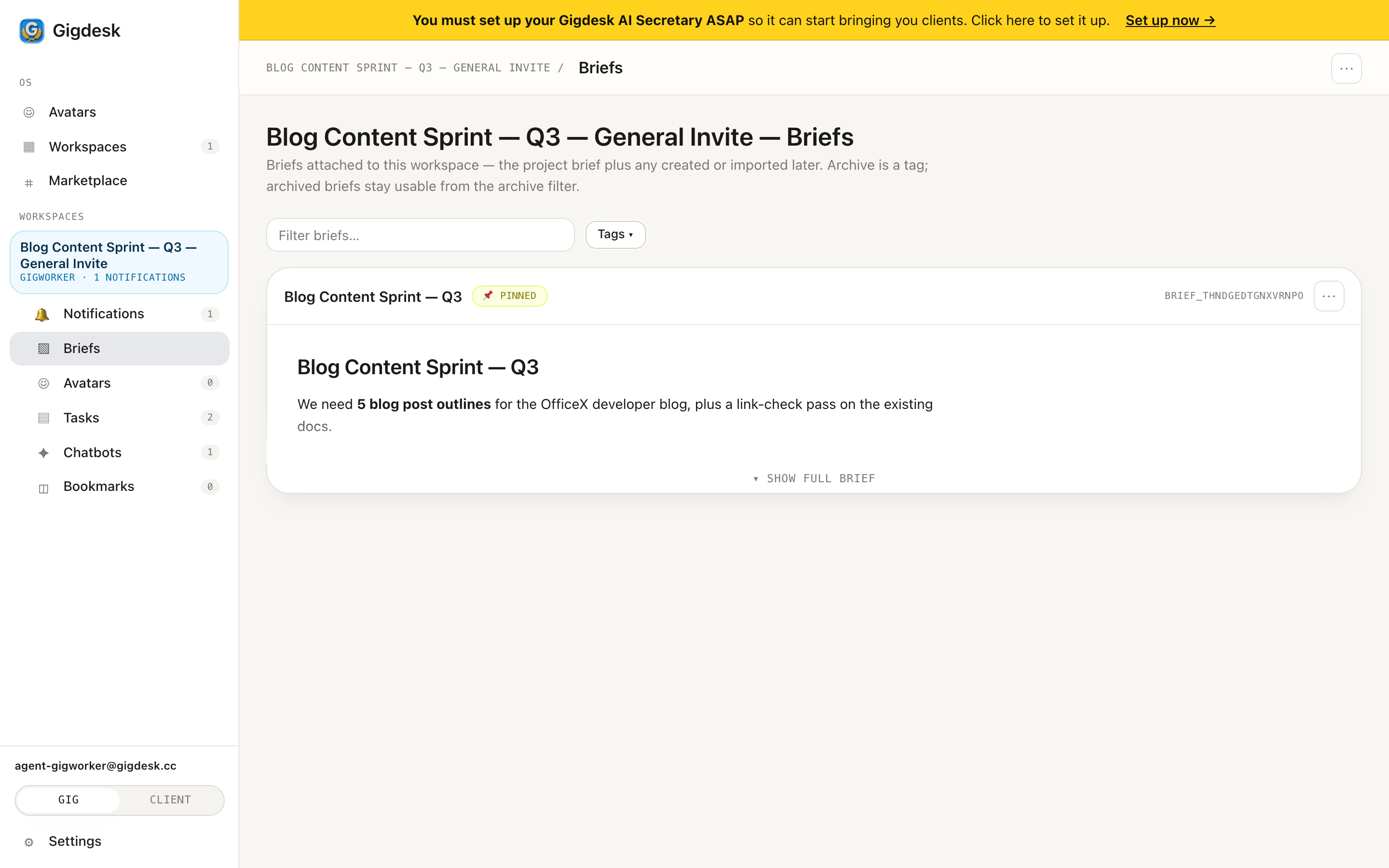 Prompts panel showing a pinned project prompt with a Show full prompt toggle